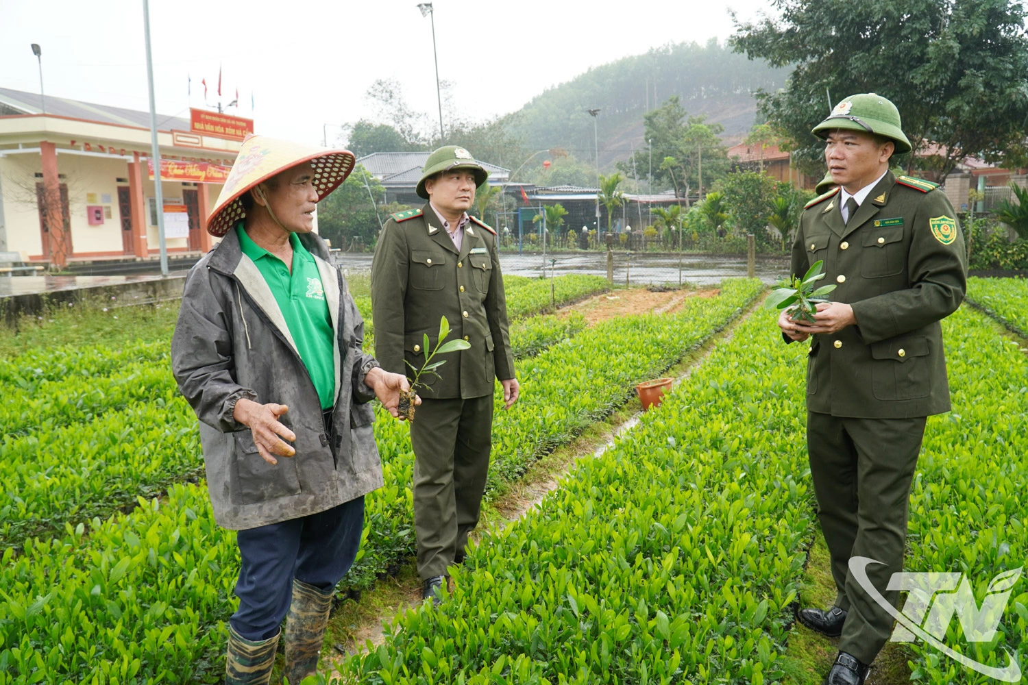 Hạt Kiểm lâm số 12 (Chi cục Kiểm lâm tỉnh Thái Nguyên) kiểm tra một vườn ươm giống trên địa bàn xã An Khánh.