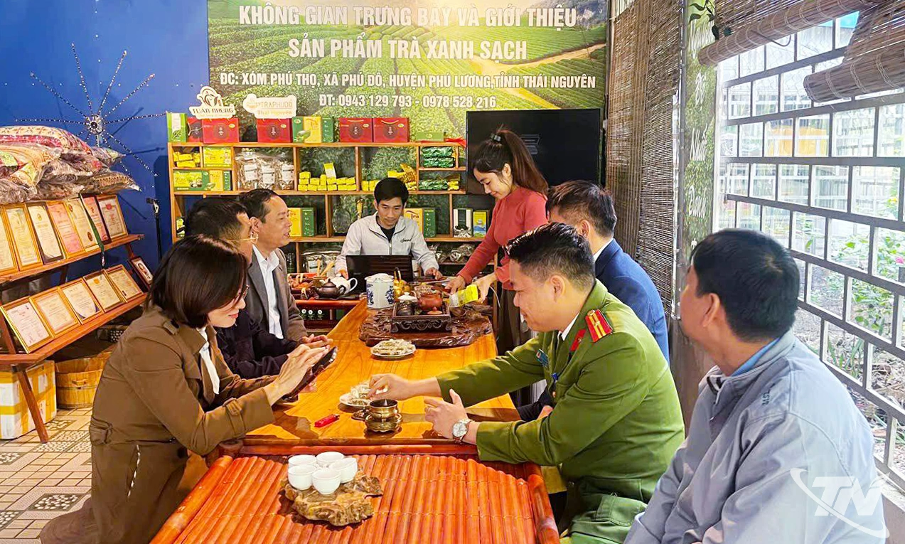 Một số hợp t&aacute;c x&atilde; ở địa b&agrave;n miền n&uacute;i, v&ugrave;ng cao của tỉnh đ&atilde; giải quyết việc l&agrave;m ổn định cho người d&acirc;n v&agrave; c&aacute;c x&atilde; vi&ecirc;n.