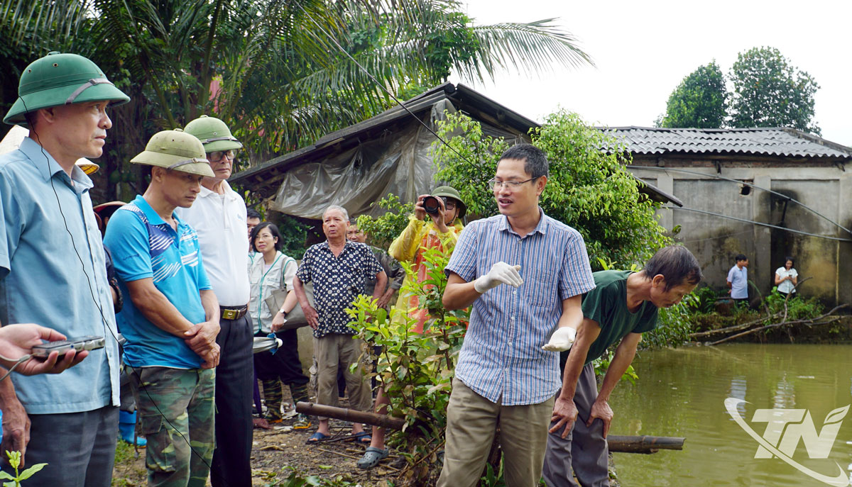 Trung tâm Khuyến nông quốc gia trao tặng thuốc sát trùng khử trùng môi trường, phân bón vi sinh Quế Lâm