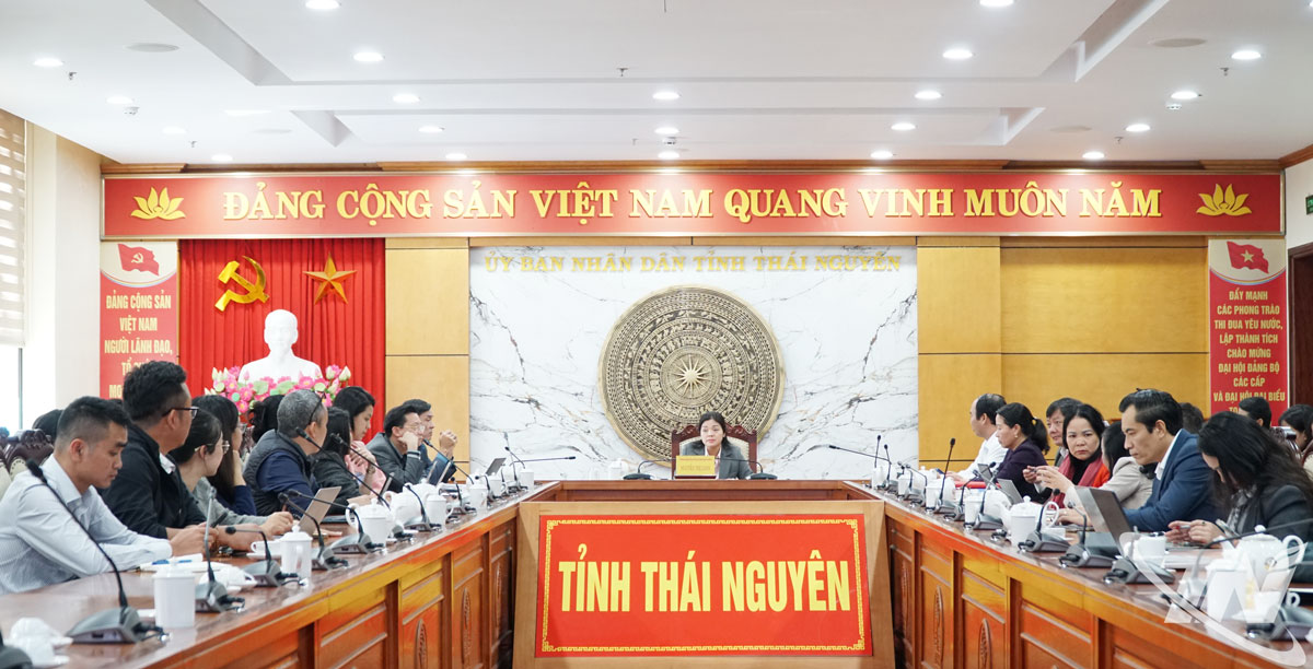 Đồng chí Nguyễn Thị Loan, Phó Chủ tịch UBND tỉnh chủ trì cuộc họp.