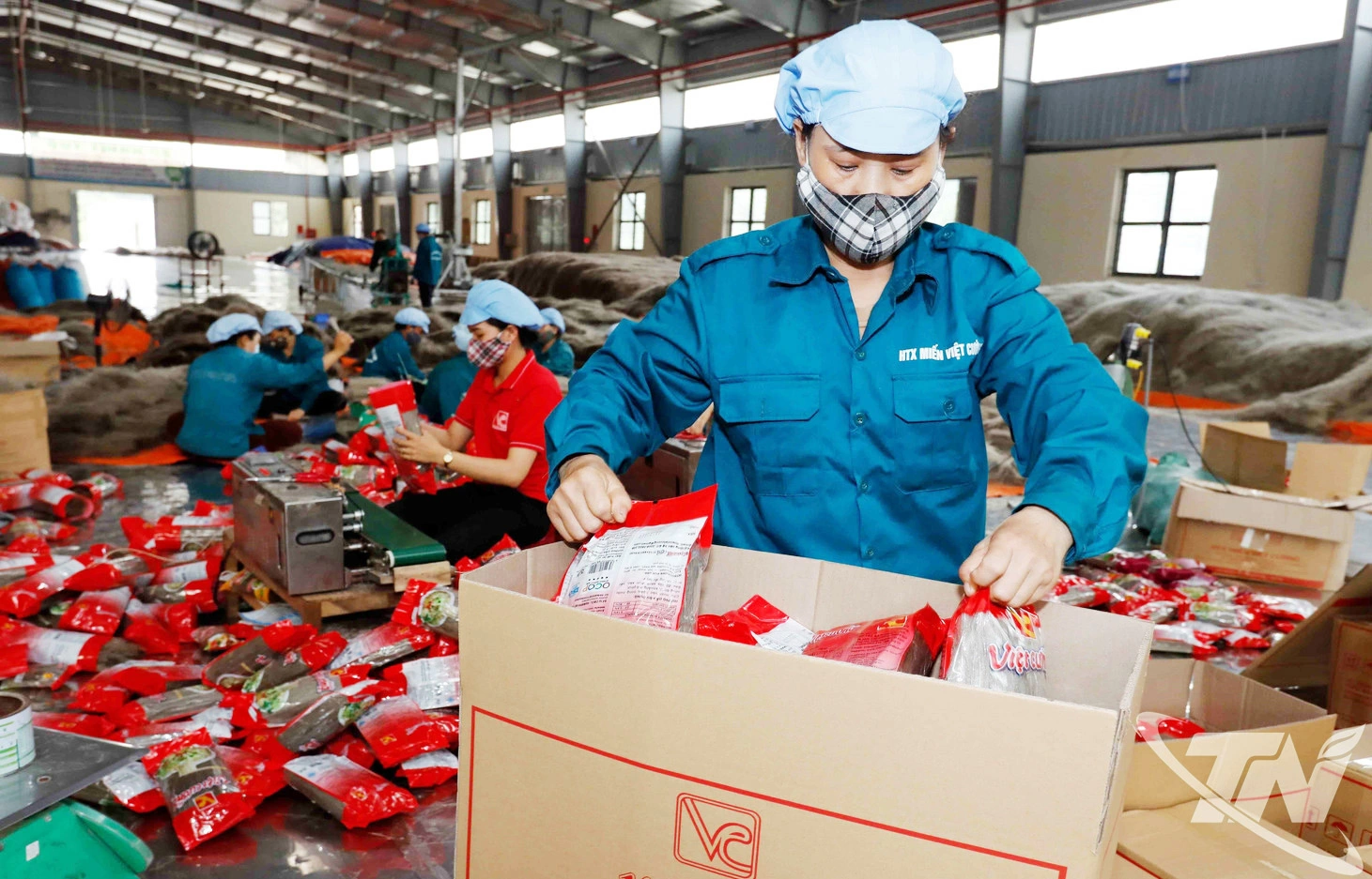 Trong quá trình sản xuất, HTX miến Việt Cường (xã Đồng Hỷ) luôn chú trọng   kiểm soát chặt chẽ chất lượng các sản phẩm.