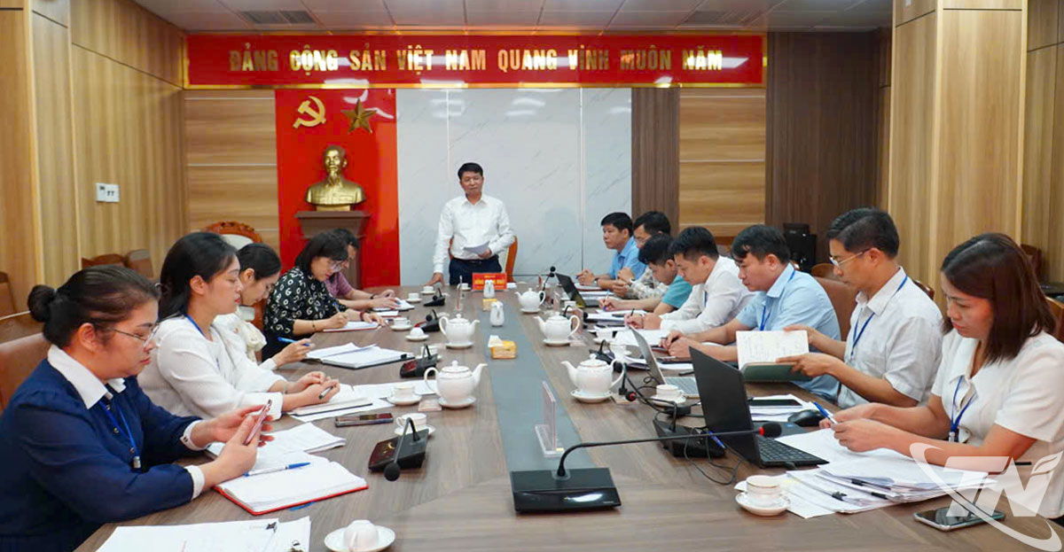 Đồng chí Nông Quang Nhất, Phó Chủ tịch UBND tỉnh phát biểu tại buổi làm việc