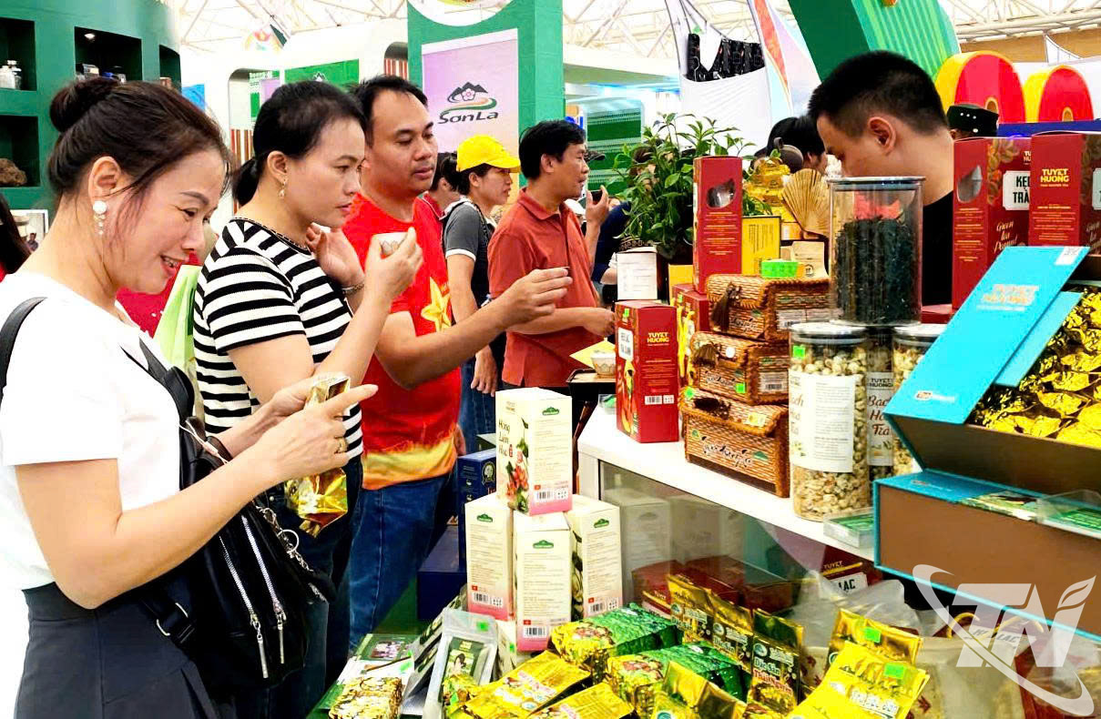 Giao thông liên kết tạo điều kiện thúc đẩy sản xuất, lưu thông hàng hóa của doanh nghiệp và hợp tác xã.