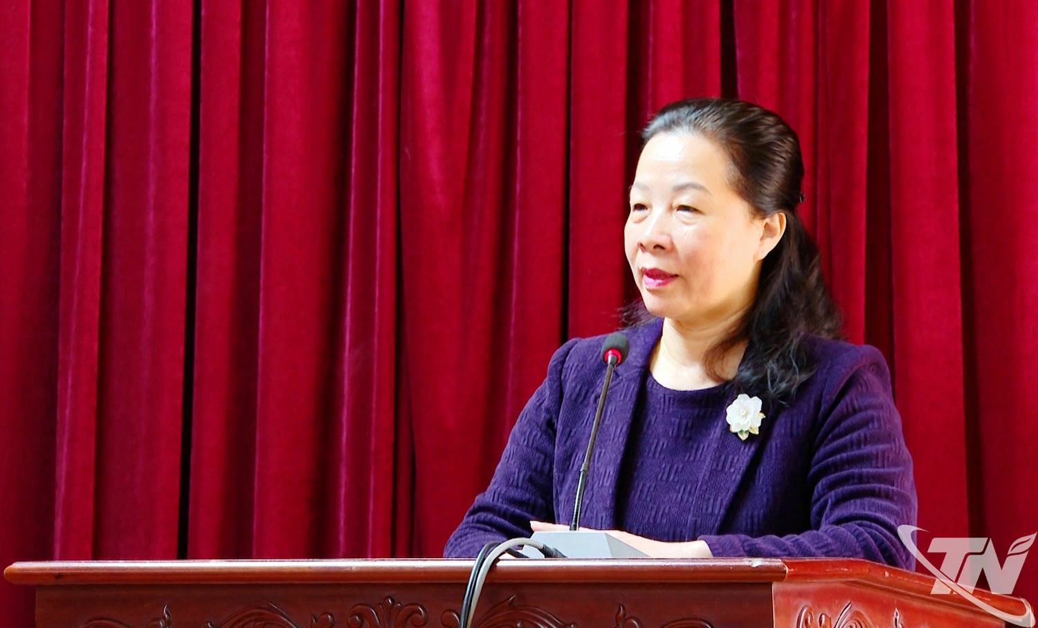 Đồng chí Nguyễn Thị Vũ Anh, Tỉnh ủy viên, Tổng Biên tập Báo và Phát thanh, Truyền hình Thái Nguyên, phát biểu tại chương trình