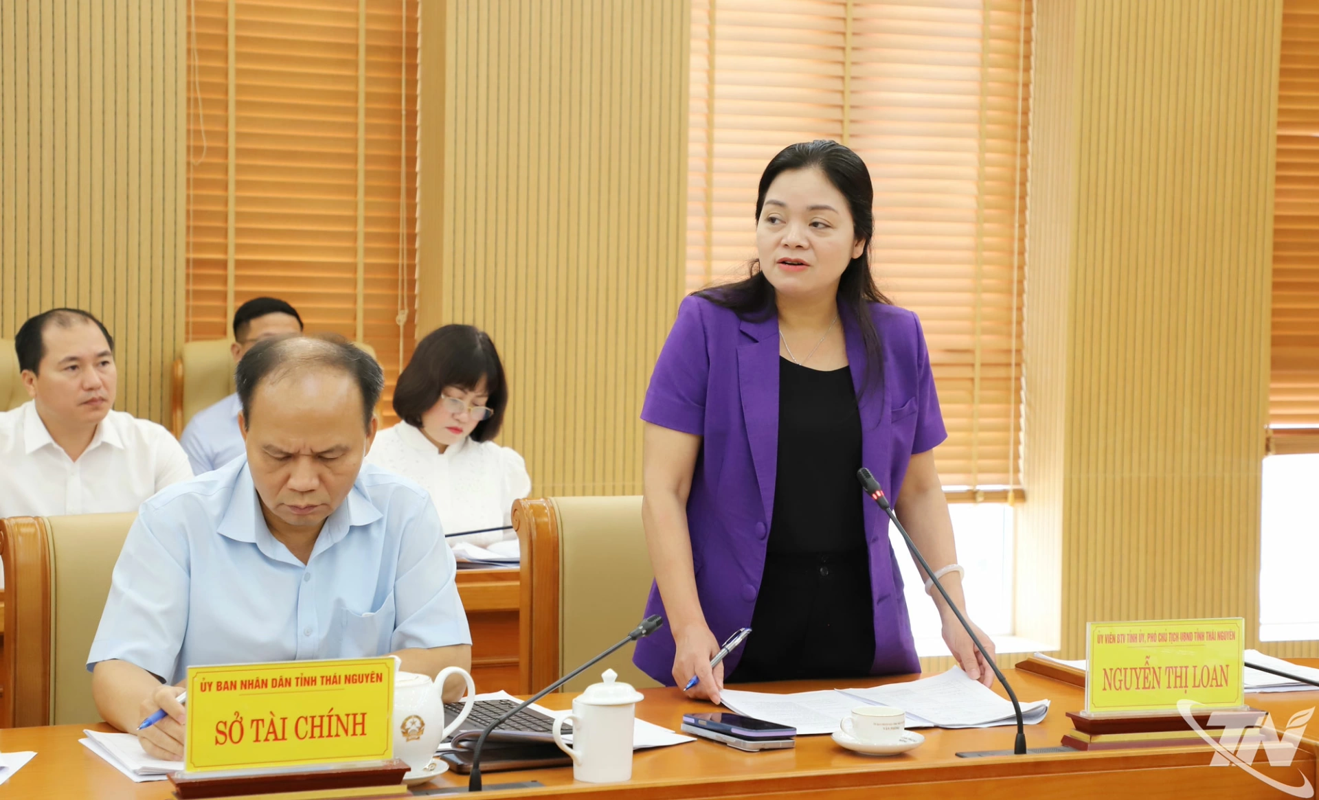Đồng chí Phó Chủ tịch UBND tỉnh Nguyễn Thị Loan phát biểu.