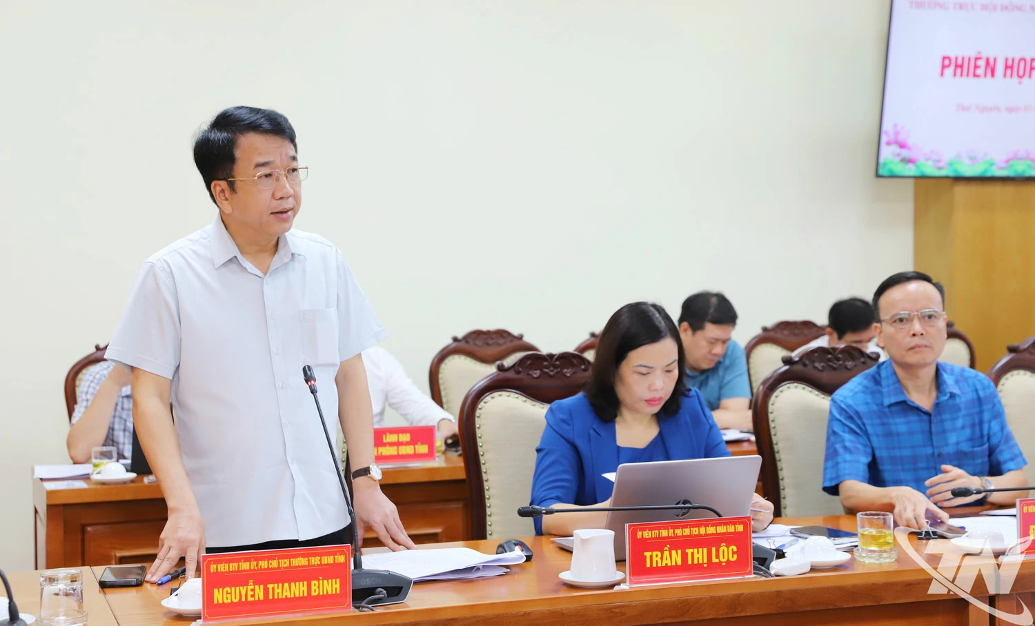 Đồng chí Nguyễn Thanh Bình, Phó Chủ tịch Thường trực UBND tỉnh phát biểu tại Phiên họp