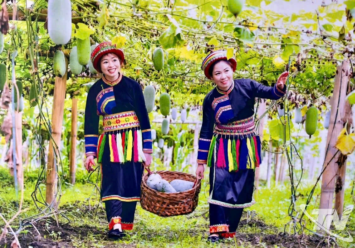 Bí xanh thơm là cây đặc sản có tiếng, đặc hữu của vùng Ba Bể (cũ). Sản phẩm bí xanh thơm đã đạt chứng nhận OCOP 4 sao