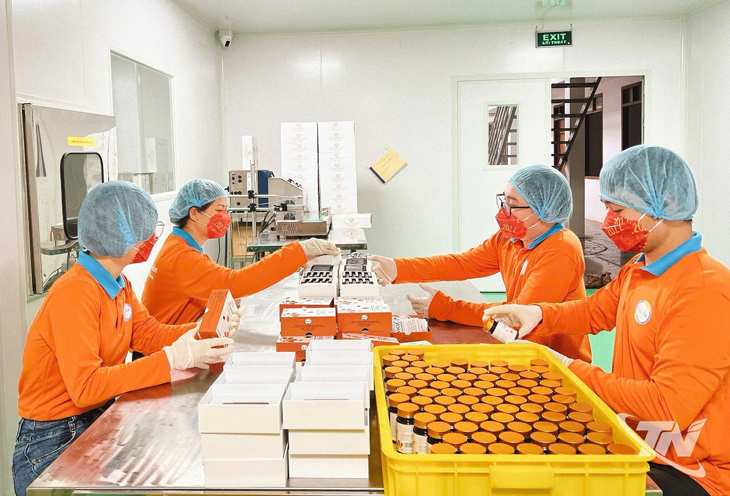 Phát triển công nghiệp chế biến là khâu quan trọng để nâng cao giá trị gia tăng, hoàn thiện chuỗi sản xuất và tiêu thụ dược liệu. Trong ảnh: Công ty CP Công nghệ dược liệu Bắc Hà (phường Bắc Kạn) đầu tư sản xuất các sản phẩm dược liệu chất lượng cao đạt tiêu chuẩn OCOP 5 sao