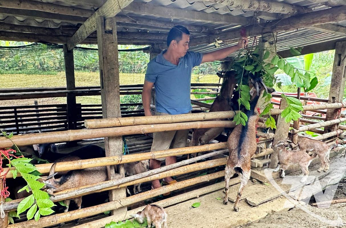 Gia đ&igrave;nh &ocirc;ng Ma Văn Th&agrave;nh, th&ocirc;n Phi&ecirc;ng Puốc, x&atilde; Cao Minh ph&aacute;t triển chăn nu&ocirc;i d&ecirc;.
