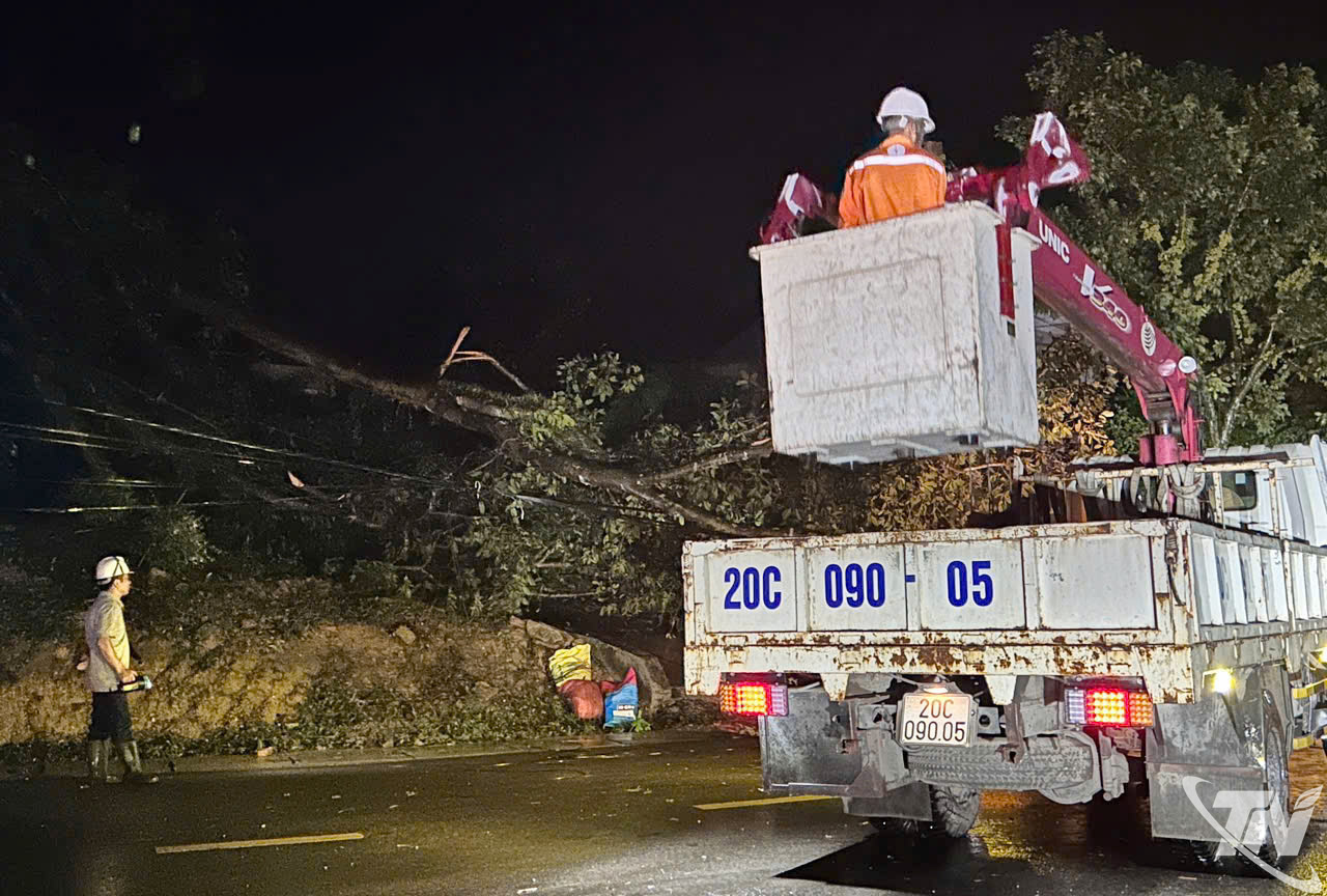 Công ty Điện lực Thái Nguyên khẩn trương xử lý sự cố trong đêm.
