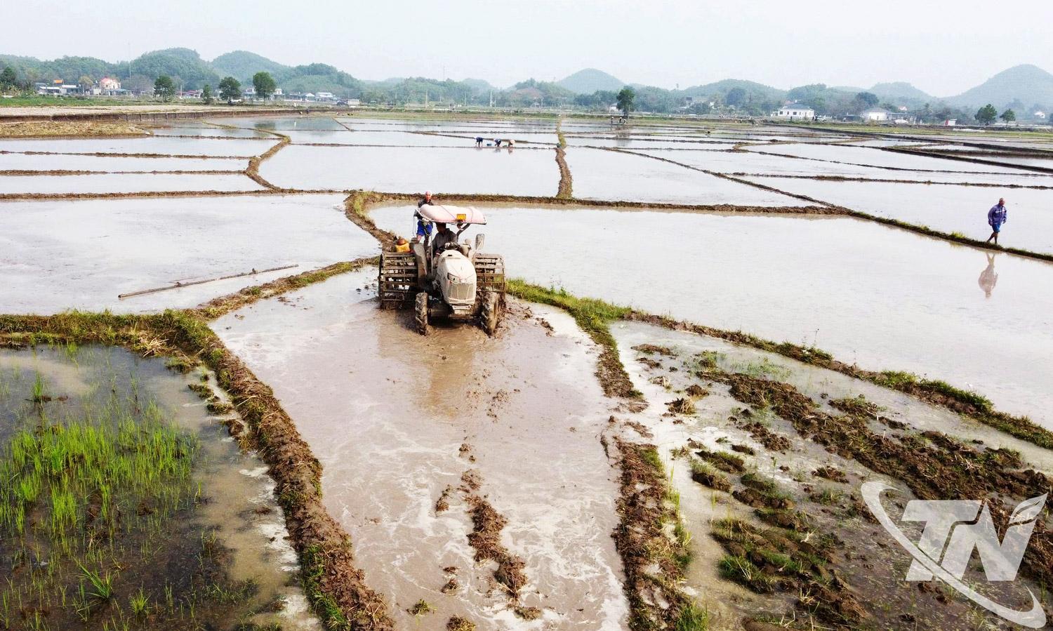 Nông dân xã An Khánh làm đất gieo cấy lúa xuân. Ảnh B.H