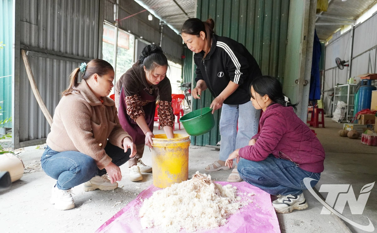 Nhóm nông dân sở thích thôn Vi Ba, xã Bằng Vân hỗ trợ nhau thực hiện phương pháp ủ thức ăn bằng men vi sinh tự nhiên.