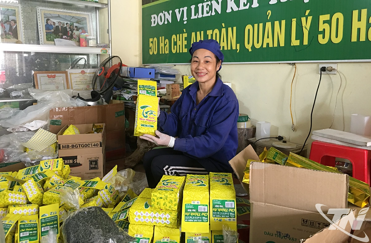 Nghiêm túc trong thâm canh, sản xuất, chế biến chè, vùng chè Sông Cầu nay thuộc xã Đồng Hỷ đã xây dựng được thương hiệu trong cả nước.