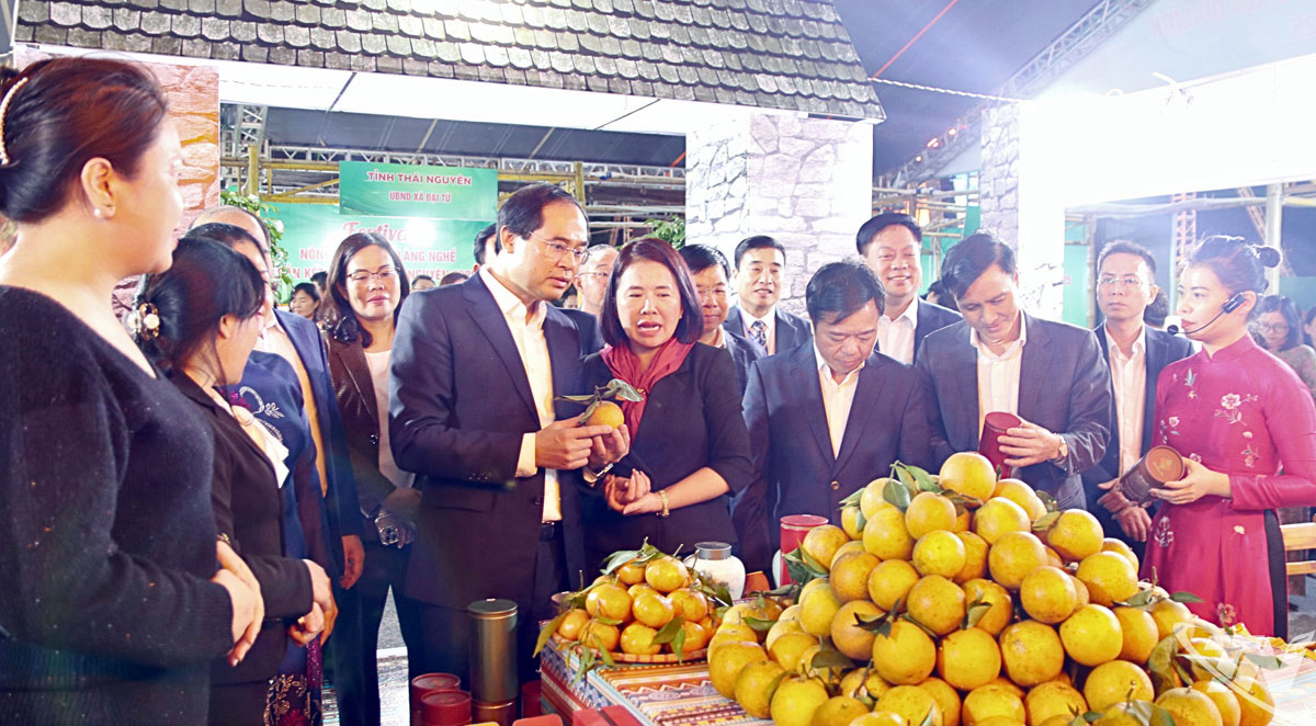 C&aacute;c đồng ch&iacute; l&atilde;nh đạo tỉnh tham quan một gian h&agrave;ng tại 