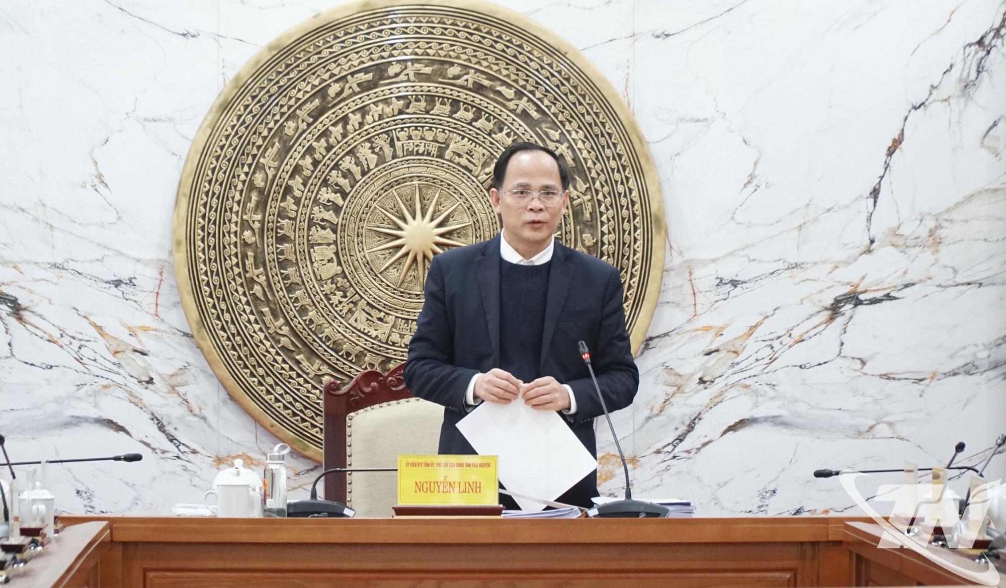 Đồng ch&iacute; Ph&oacute; Chủ tịch UBND tỉnh Nguyễn Linh ph&aacute;t biểu kết luận Hội nghị.