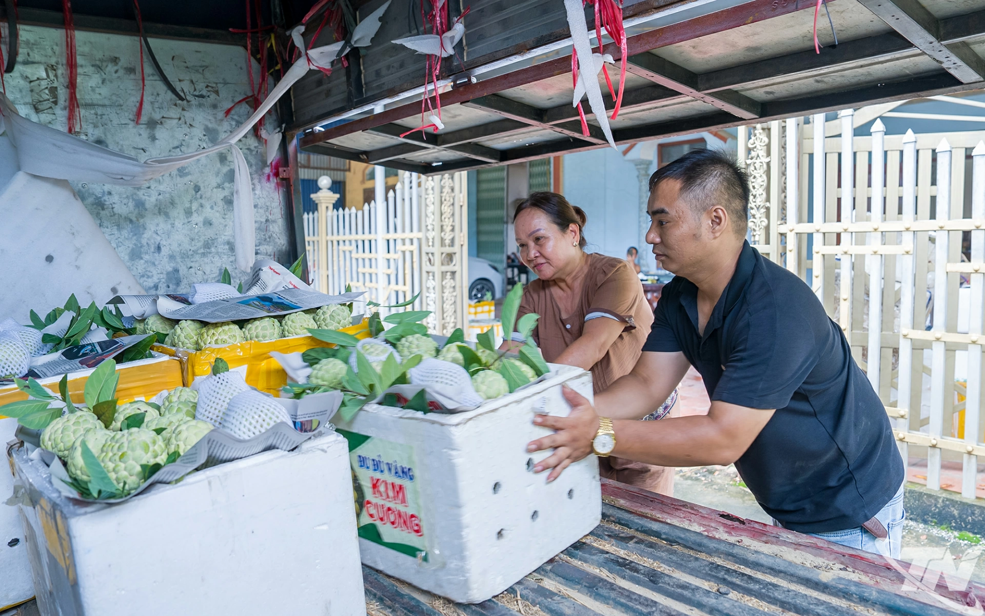 Na đầu mùa tại xã La Hiên được thương lái thu mua với giá từ 50.000 - 60.000 đồng/kg, cao gần gấp đôi so với thời điểm chính vụ.