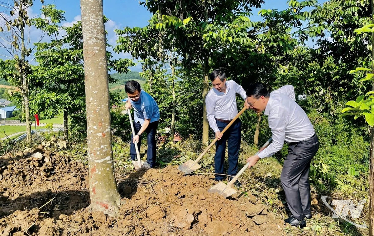 Các đại biểu trồng cây tại Khu di tích.