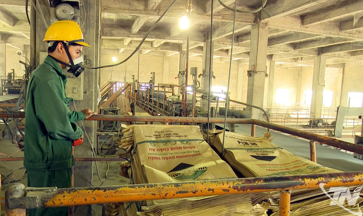 Công ty CP Xi măng Quán Triều