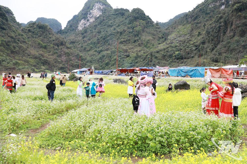 Vùng hoa tam giác mạch Lân Quan (xã Quang Sơn) là một điểm đến hấp dẫn du khách.