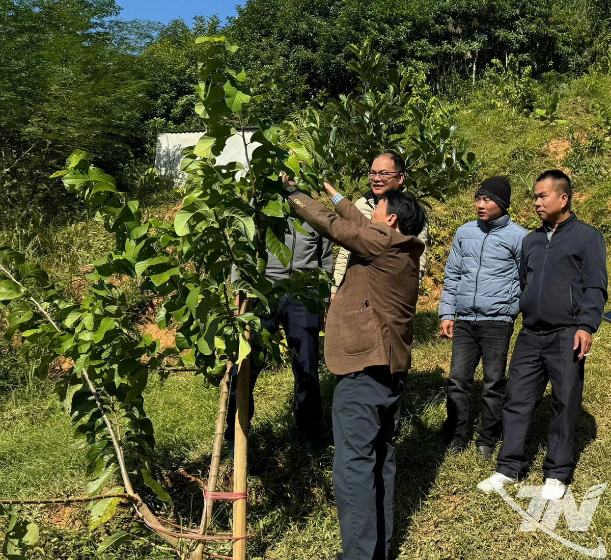 C&aacute;n bộ Viện Rau quả hướng dẫn chăm s&oacute;c, cắt tỉa c&acirc;y na 1 năm tuổi ở th&ocirc;n Phi&ecirc;ng An, x&atilde; Bạch Th&ocirc;ng