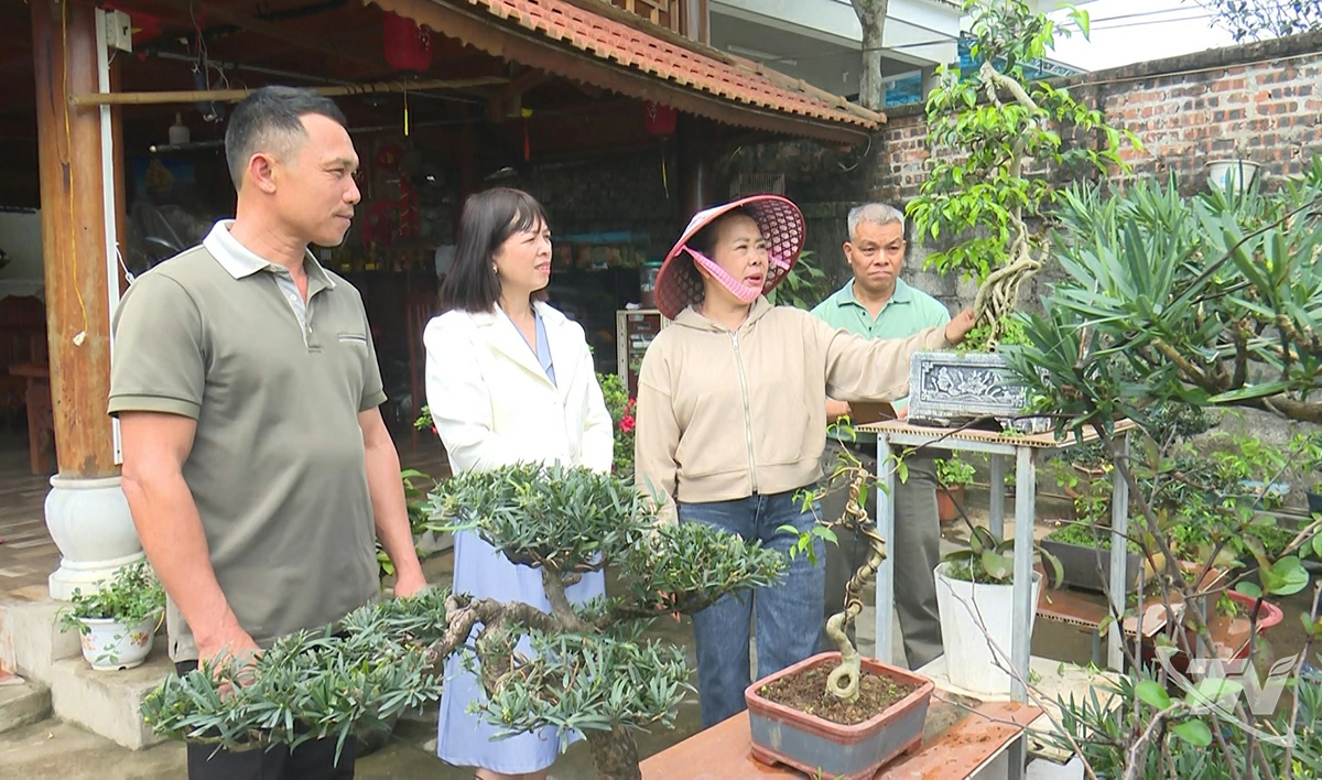 Bà Nguyễn Thị Thanh (thứ hai từ phải sang) giới thiệu các cây cảnh có kích thước nhỏ, giá trị kinh tế cao, được chăm sóc, tạo tác công phu trong vườn gia đình.