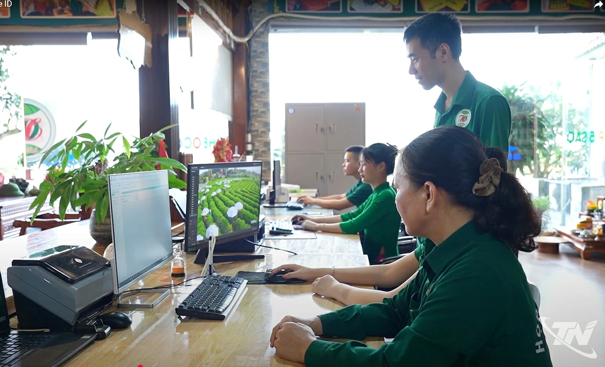 Nhờ chuyển đổi số, môi trường làm việc minh bạch, công bằng, tăng sự gắn bó của người lao động trong HTX chè Hảo Đạt.