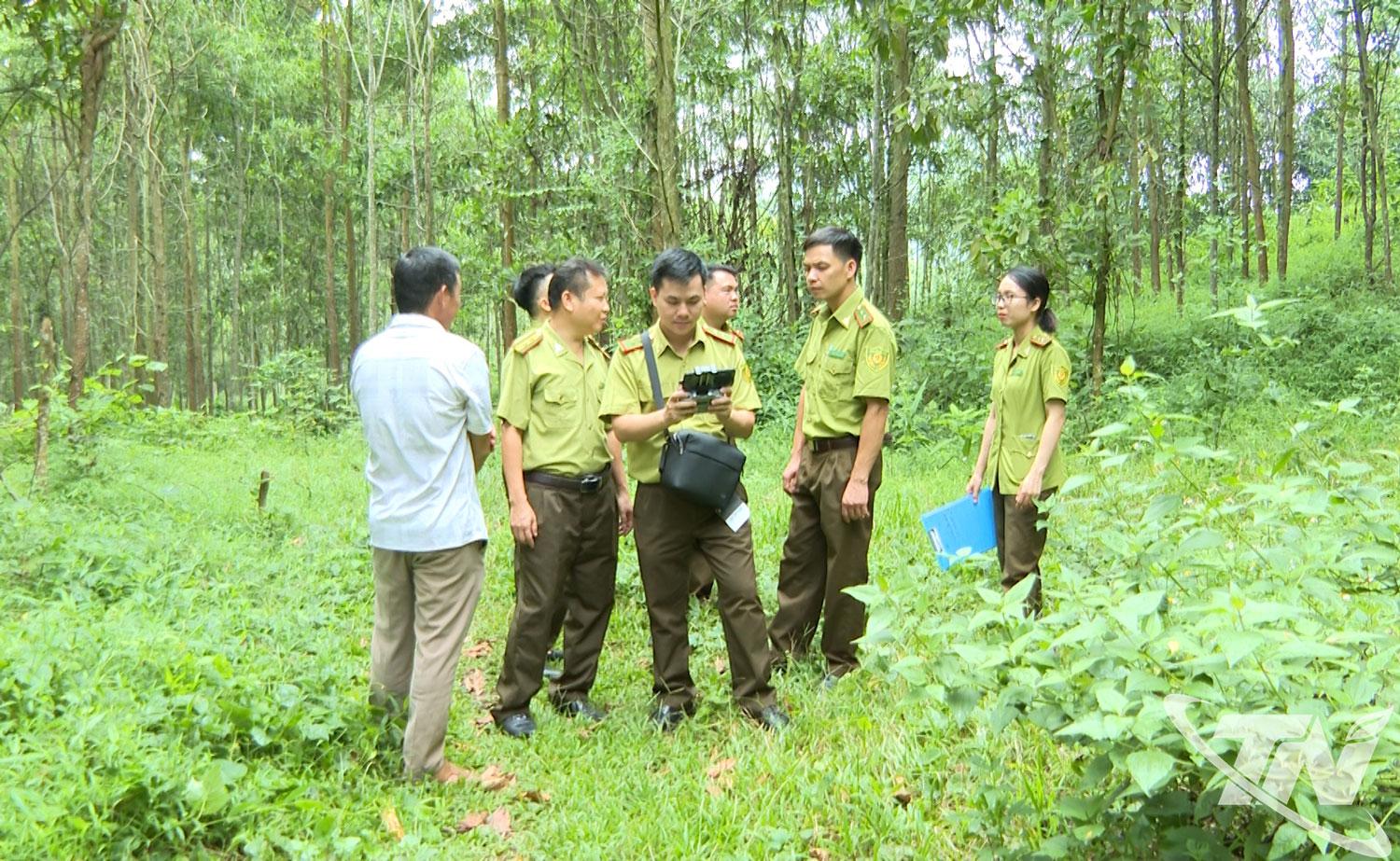 Hạt Kiểm lâm số 10 phối hợp với chính quyền địa phương tăng cường kiểm tra, hướng dẫn người dân xử lý thực bì đúng kỹ thuật, an toàn.