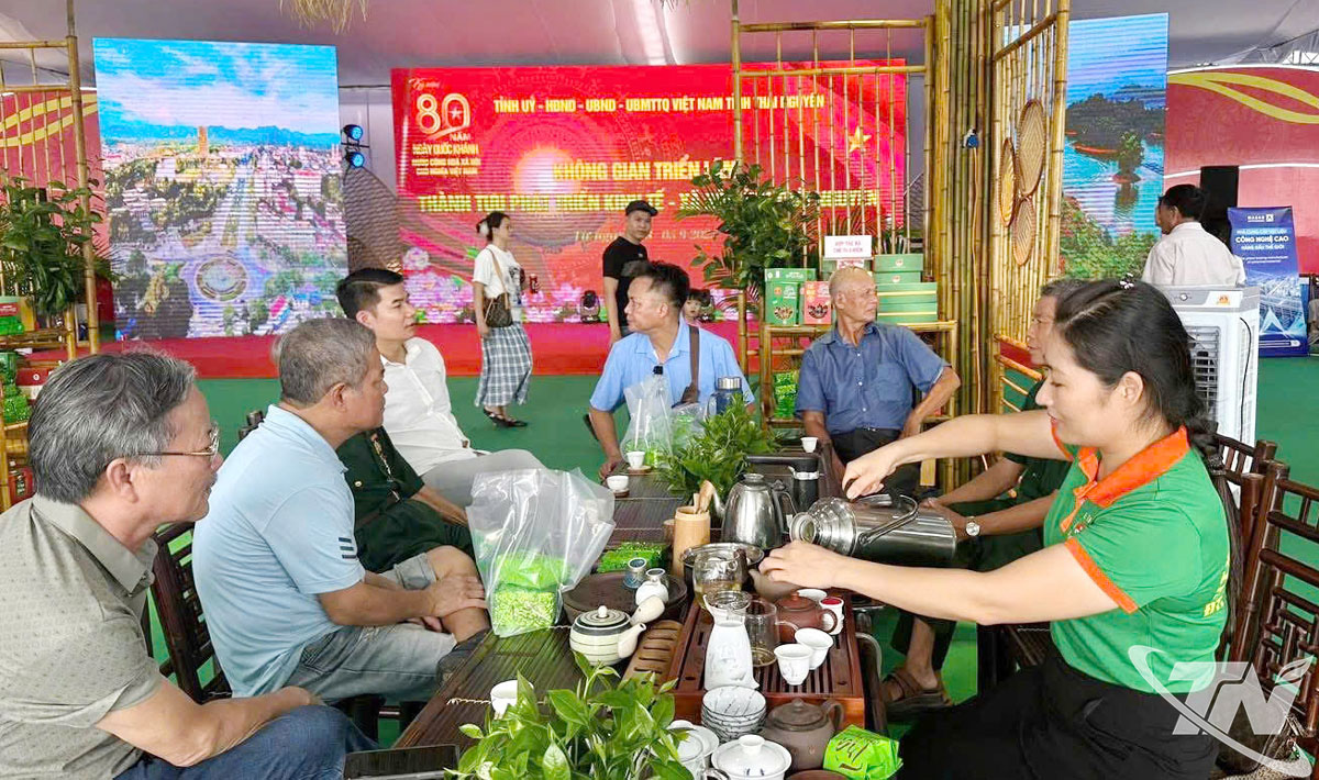 Khách tham quan trải nghiệm hương vị trà Thái Nguyên tại Triển lãm 80 năm thành tựu kinh tế - xã hội.