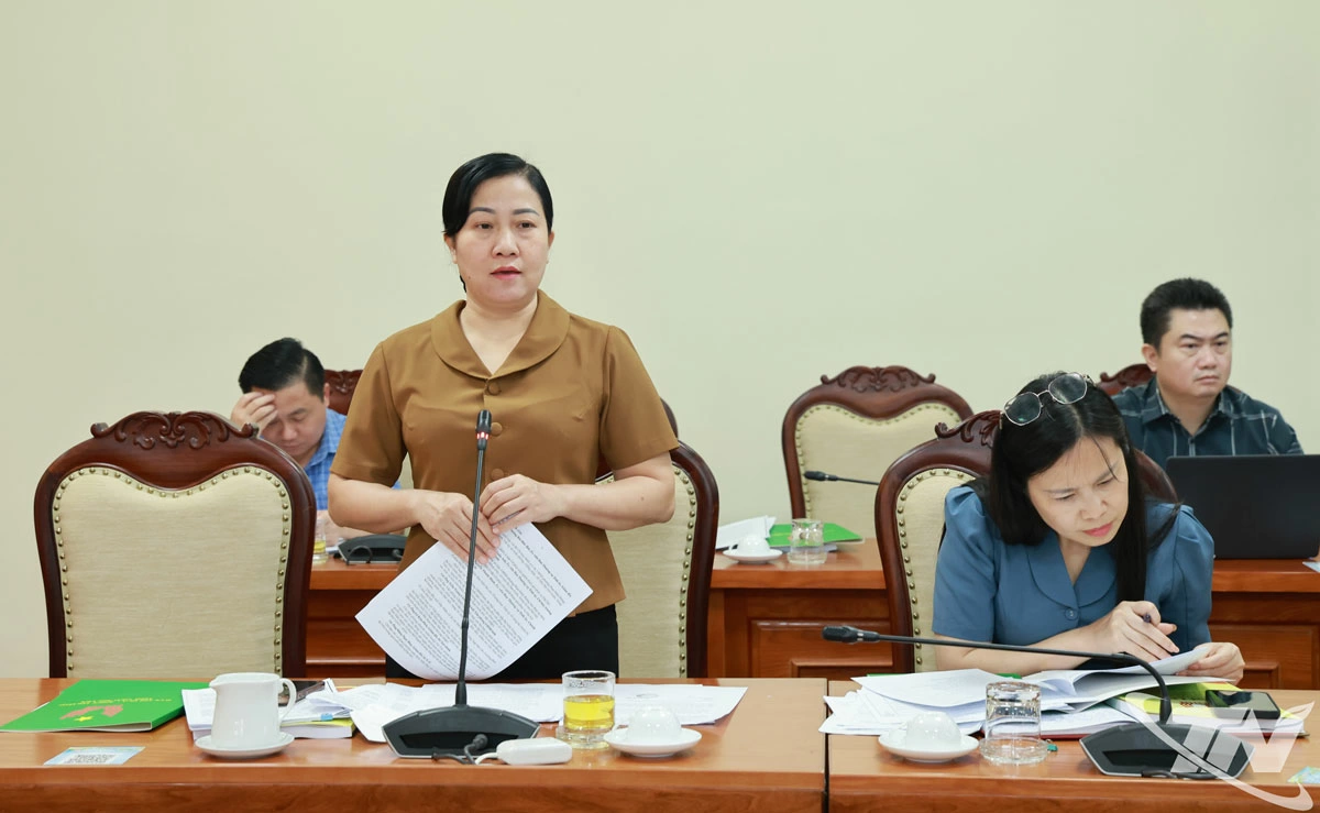 Đồng chí Đỗ Thị Minh Hoa, Ủy viên Ban Thường vụ, Trưởng Ban Tuyên giáo và Dân vận Tỉnh ủy, phát biểu tại Hội nghị.