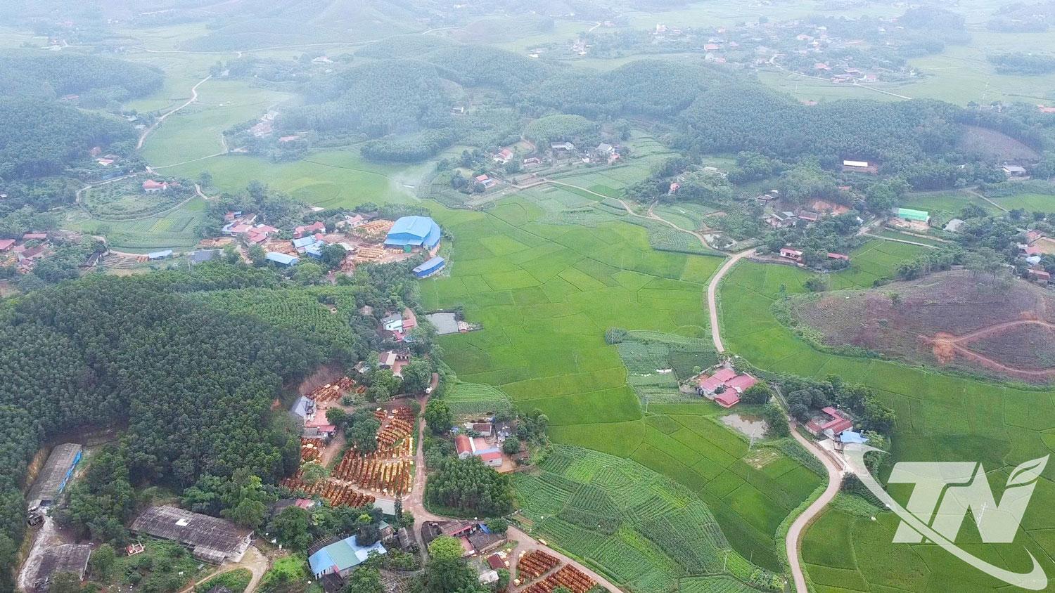     Gắn đời sống người d&acirc;n với ph&aacute;t triển kinh tế rừng ch&iacute;nh l&agrave; điều kiện ti&ecirc;n quyết để bảo vệ rừng bền vững.