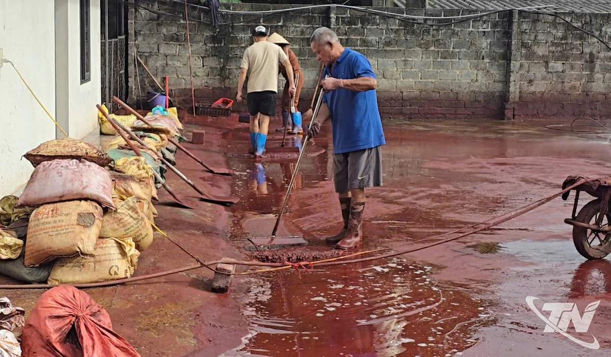 Công ty TNHH Hồng phát Thái nguyên vệ sinh kho bãi chứa bột ô xit Sắt