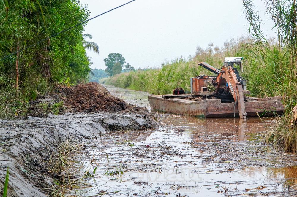 Sau khi thu hoạch, nhiều hộ d&acirc;n tiến h&agrave;nh dọn thực b&igrave; v&agrave; k&ecirc; lại liếp để trồng rừng mới, giảm nguy cơ ch&aacute;y trong m&ugrave;a kh&ocirc;.