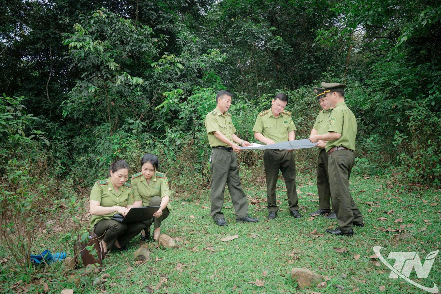 Lực lượng Kiểm l&acirc;m tổ chức kiểm tra rừng.
