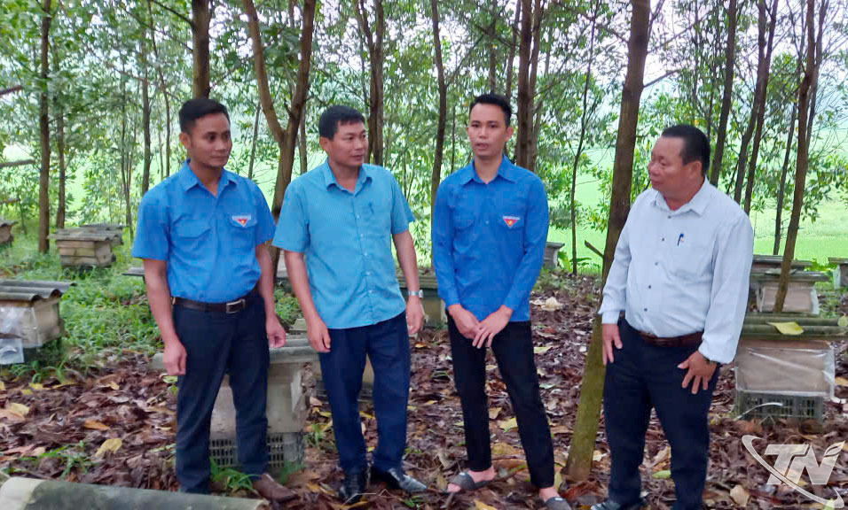 Anh Chiến (thứ 2 từ phải sang) giới thiệu về mô hình nuôi ong.
