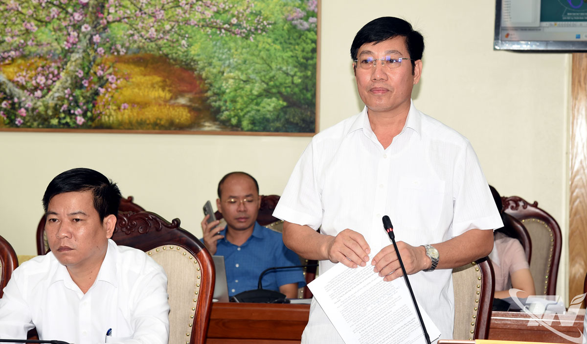 Lãnh đạo xã Tân Thành báo cáo tại Hội nghị