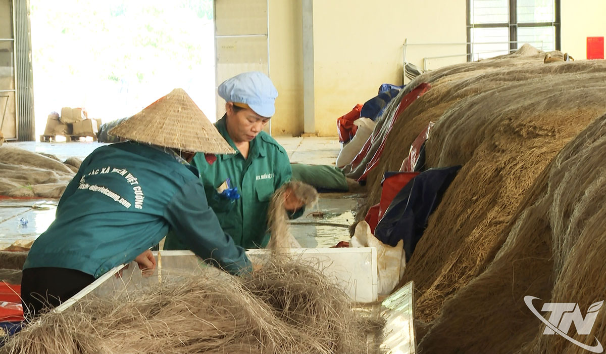 Các thành viên Hợp tác xã miến Việt Cường vừa dọn dẹp nhà xưởng sau mưa lũ, vừa triển khai khôi phục sản xuất để đảm bảo đơn hàng và nguồn cung.