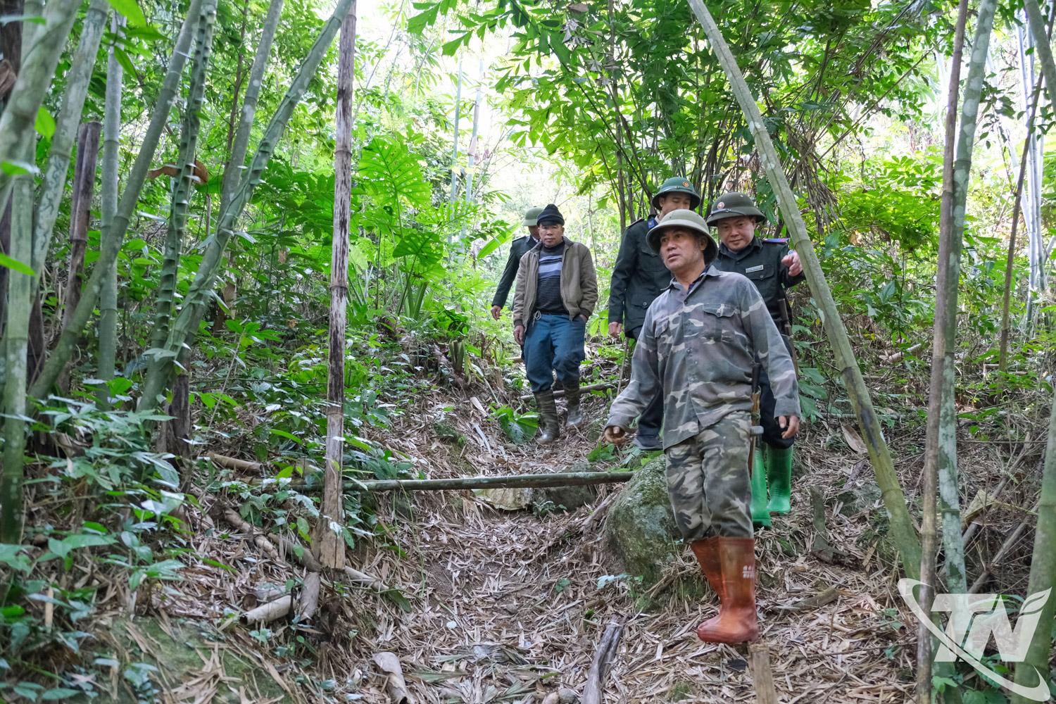 Một cuộc tuần tra của lực lượng bảo vệ rừng Lực lượng bảo vệ rừng thực hiện công tác quản lý Khu dự trữ thiên nhiên Thần Sa - Phượng Hoàng và người dân.