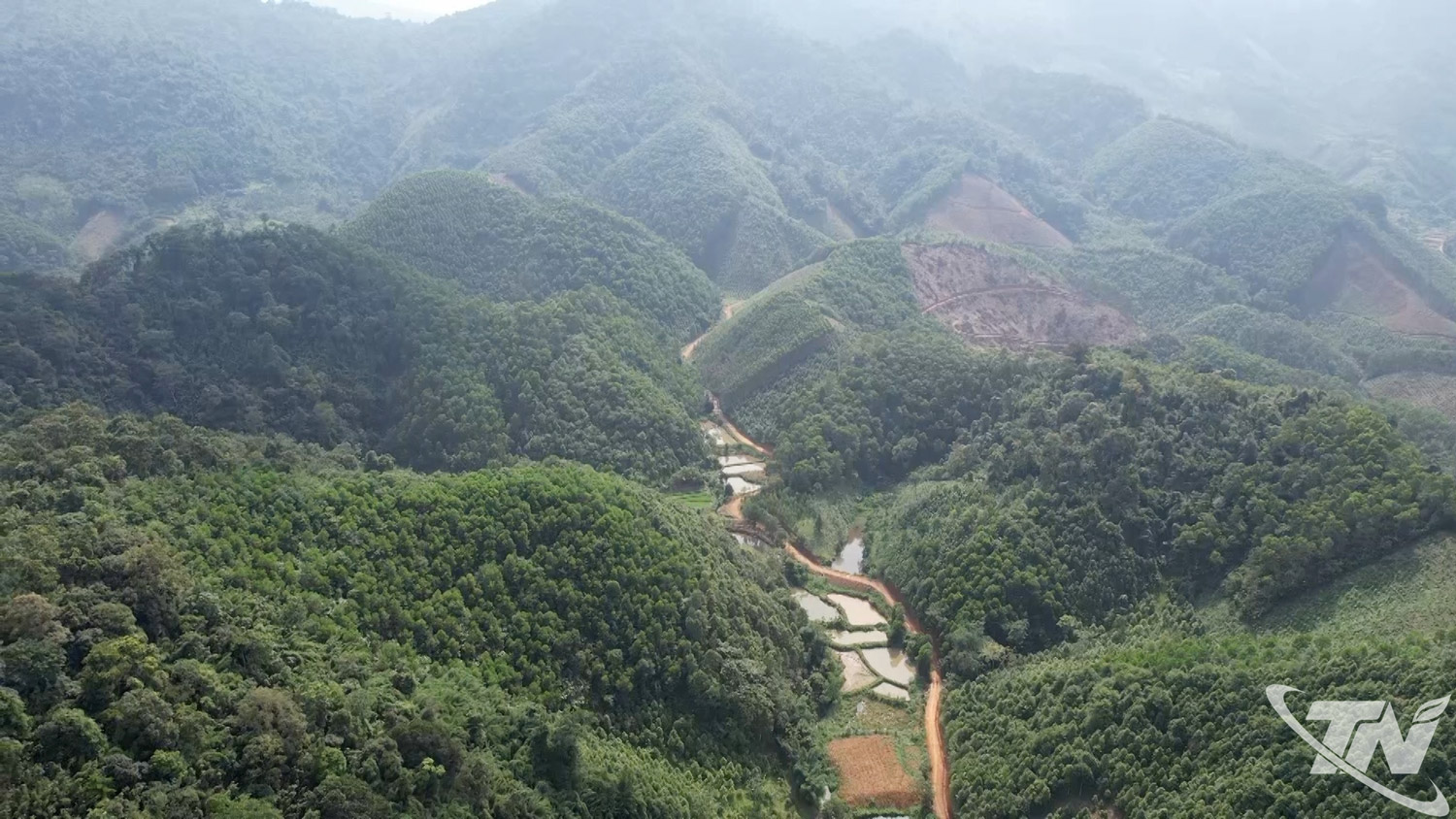 Diện tích rừng trồng khu vực phía Bắc của tỉnh ngày càng được mở rộng, tạo nền tảng quan trọng cho phát triển kinh tế lâm nghiệp và bảo đảm sinh kế bền vững cho người dân.