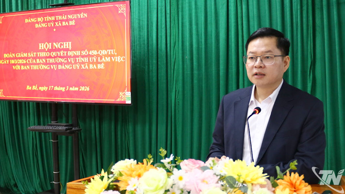 Đồng chí Đinh Quang Tuyên phát biểu kết luận buổi giám sát.