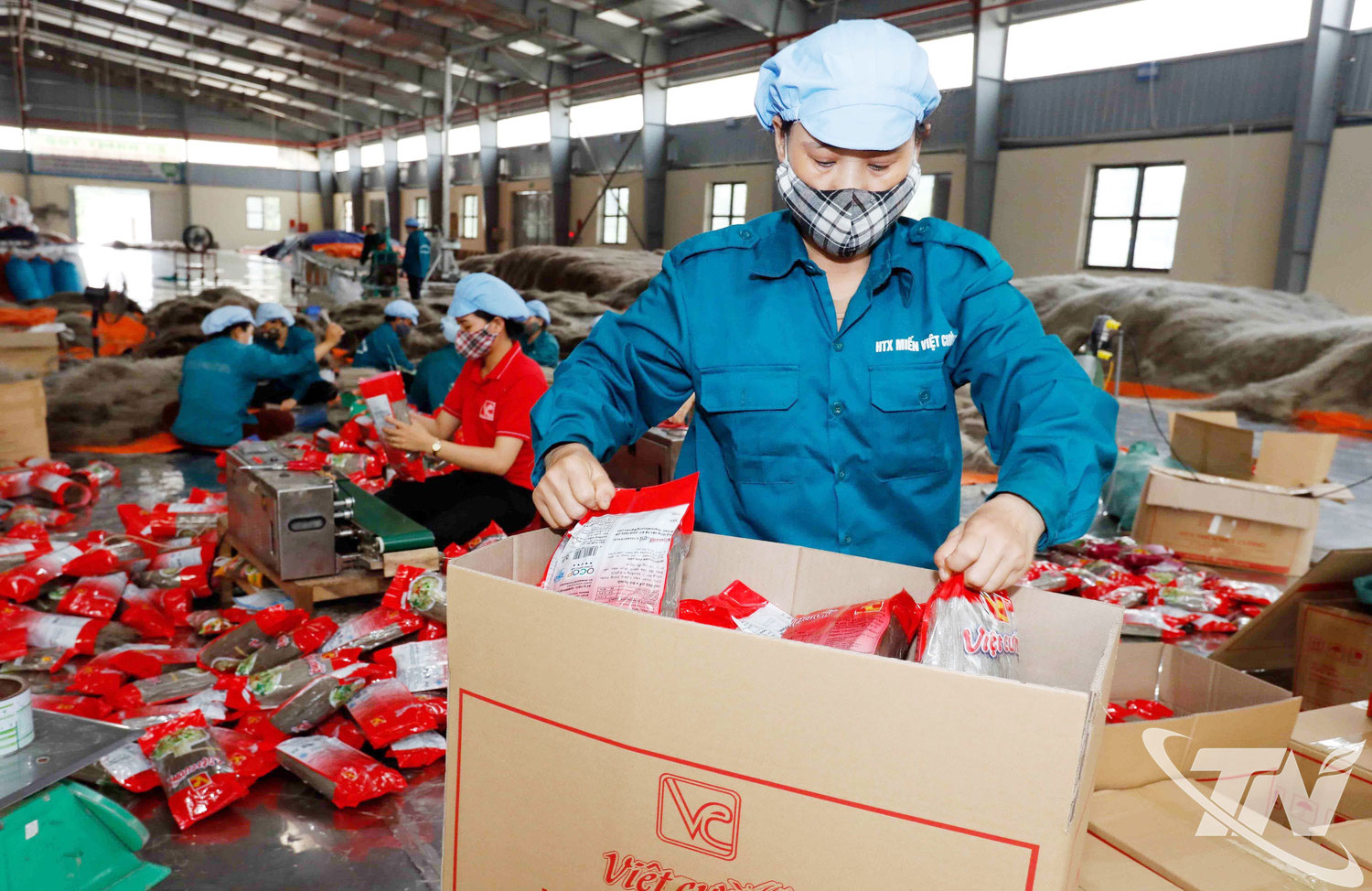 HTX miến Việt Cường (xã Đồng Hỷ) chuyên sản xuất các loại miến tiêu thụ trong nước và xuất khẩu.  