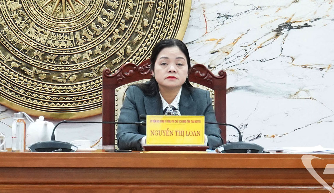 Đồng ch&iacute; Ph&oacute; Chủ tịch UBND tỉnh Nguyễn Thị Loan dự Hội nghị tại điểm cầu Th&aacute;i Nguy&ecirc;n.