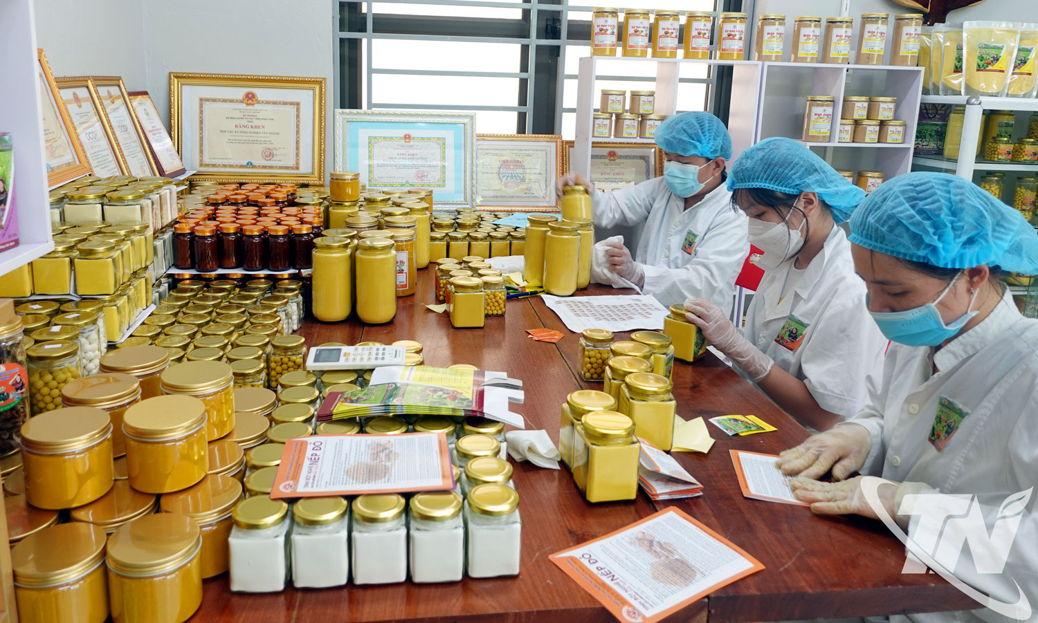 Thành viên Hợp tác xã Nông nghiệp Tân Thành, phường Bắc Kạn, đóng gói sản phẩm tinh bột nghệ