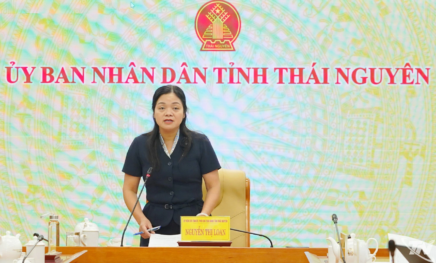 Đồng chí Nguyễn Thị Loan, Ủy viên Ban Thường vụ Tỉnh ủy, Phó Chủ tịch UBND tỉnh phát biểu tại Hội nghị.