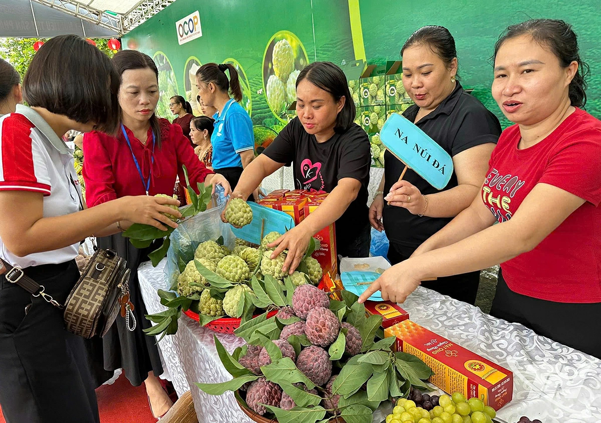 Chương trình Livestream góp phần quảng bá na Thái Nguyên nói riêng, nông sản của tỉnh nói chung.