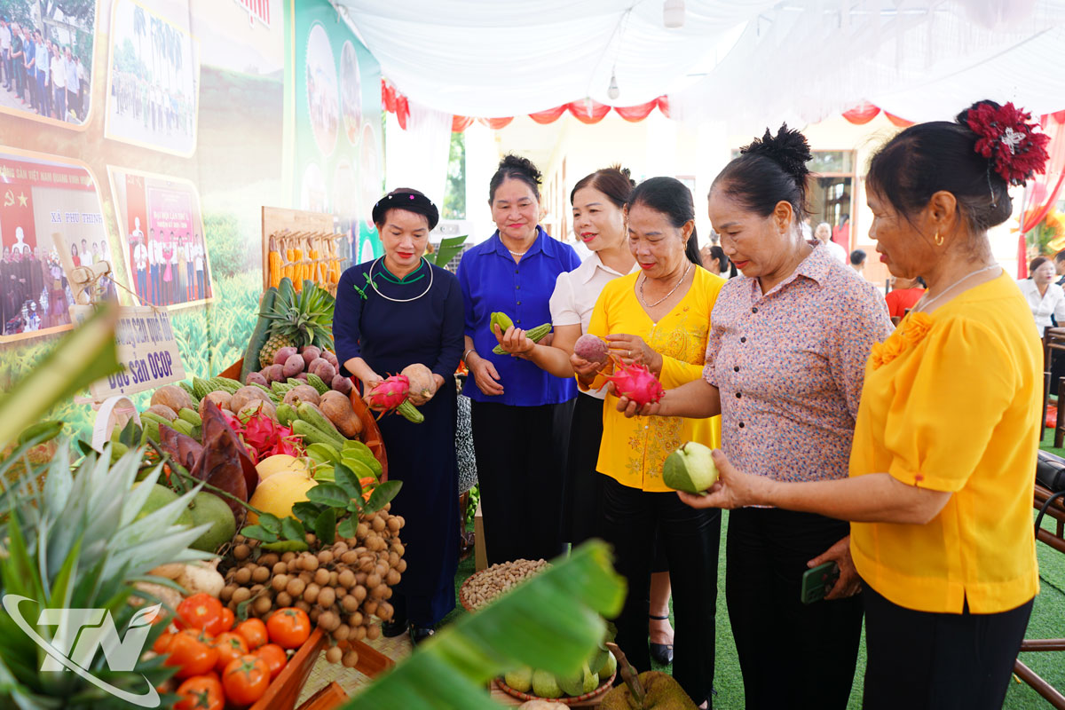 Người dân tham quan gian trưng bày các sản phẩm nông nghiệp tiêu biểu của xã Phú Thịnh.