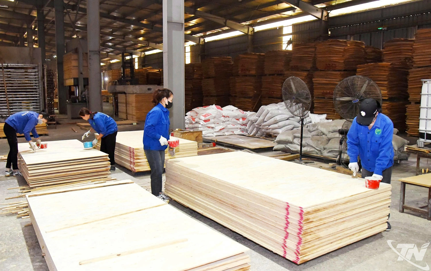 Các doanh nghiệp chế biến gỗ trên địa bàn tỉnh nỗ lực duy trì ổn định sản xuất trong bối cảnh có nhiều khó khăn.