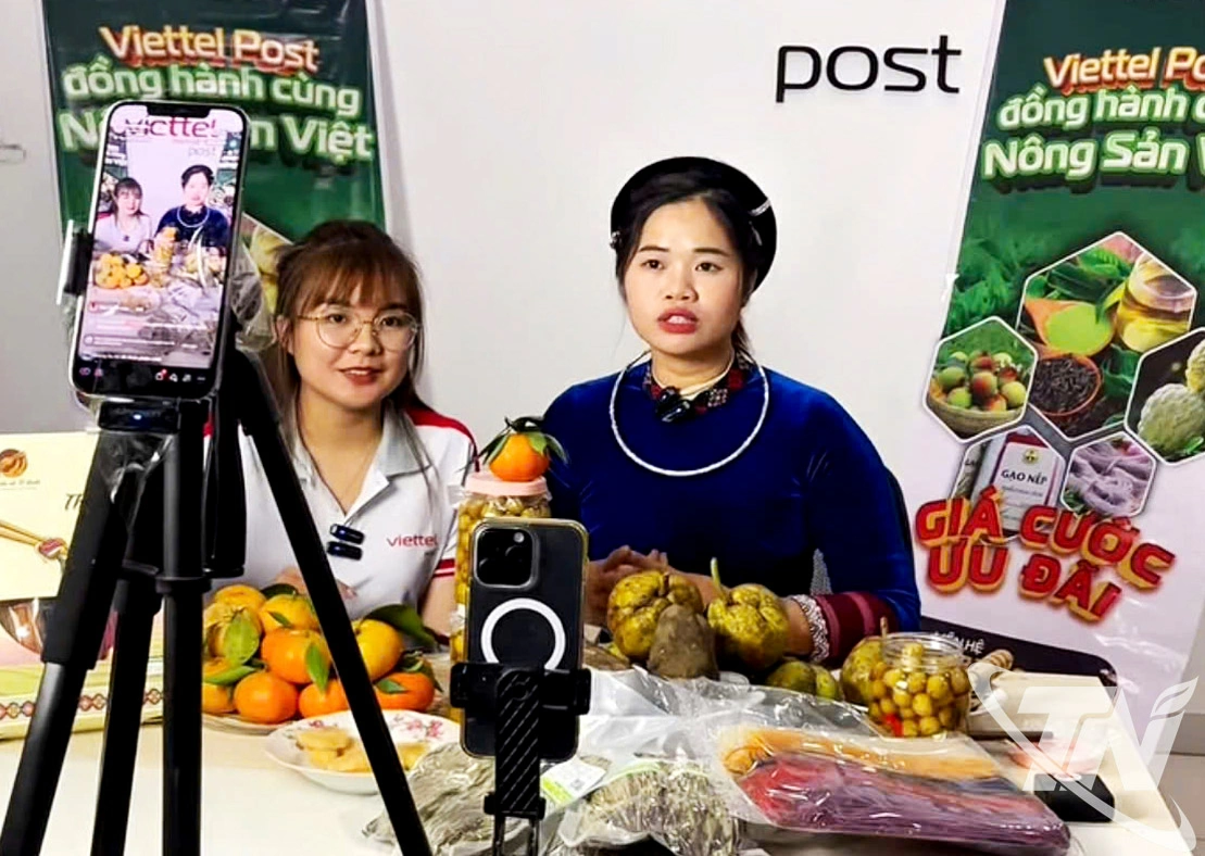 Viettel Post Thái Nguyên đồng hành cùng người dân đẩy mạnh quảng bá, tiêu thụ nông sản, sản phẩm OCOP trên nền tảng số.