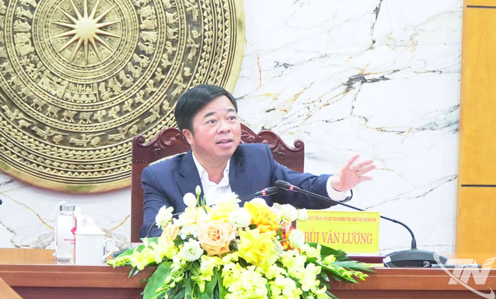 Đồng ch&iacute; Ph&oacute; Chủ tịch Thường trực UBND tỉnh B&ugrave;i Văn Lương kết luận cuộc họp