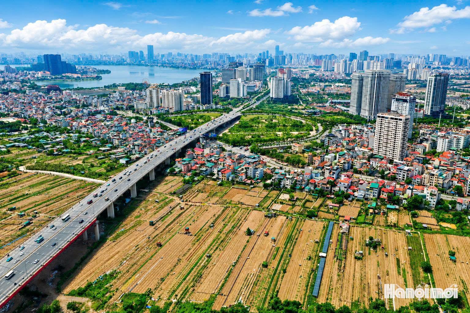 songhong-hung-3.jpg