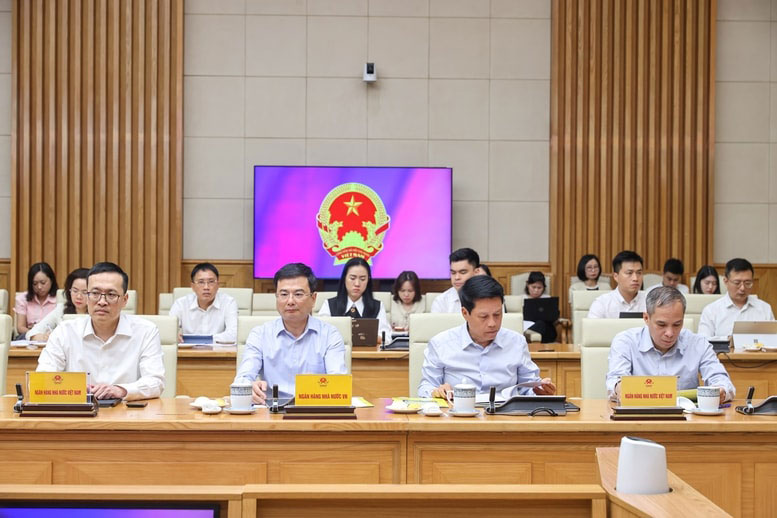 Các đại biểu tham dự cuộc làm việc. Ảnh: VGP